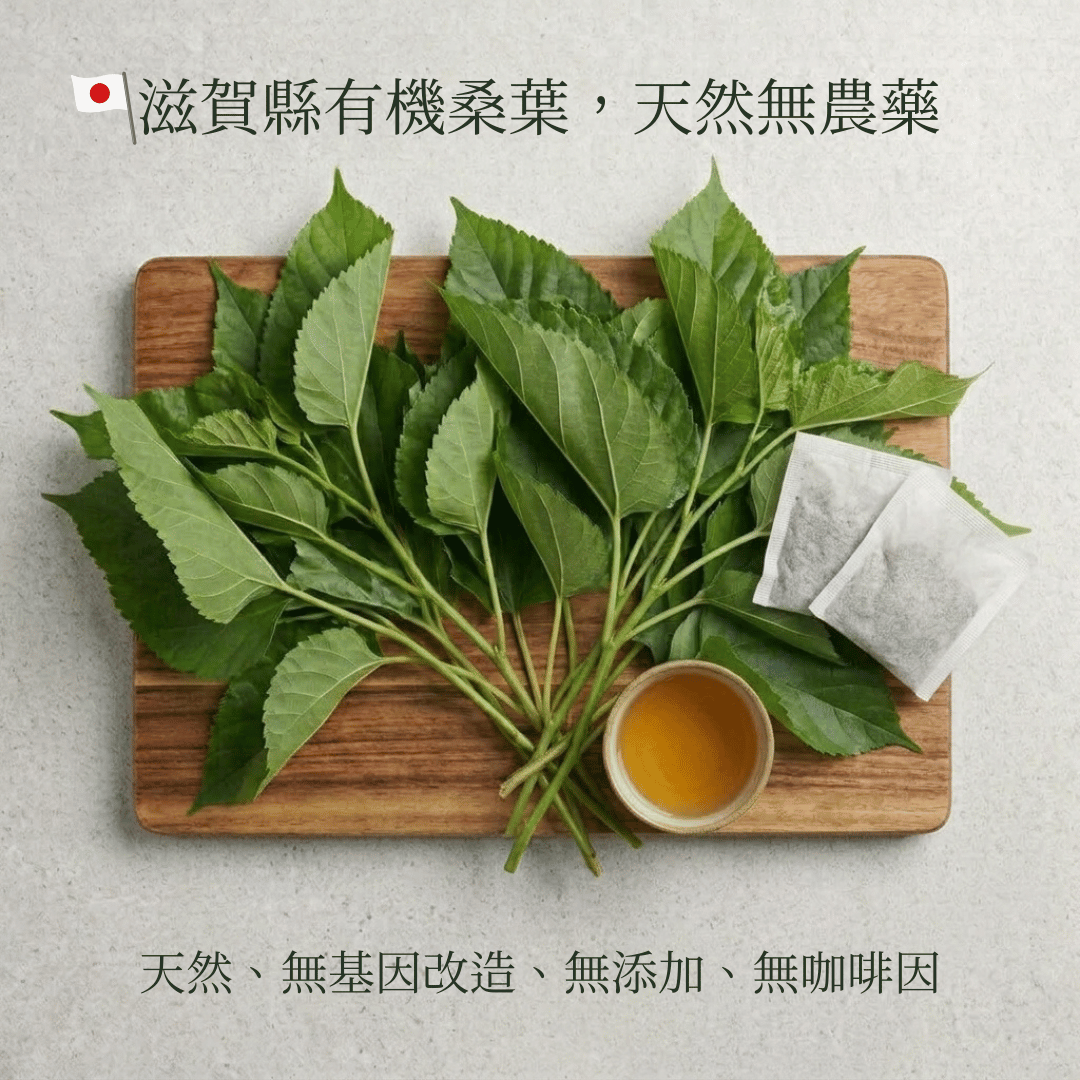 日本有機桑葉茶 (180克/45茶包 大裝)