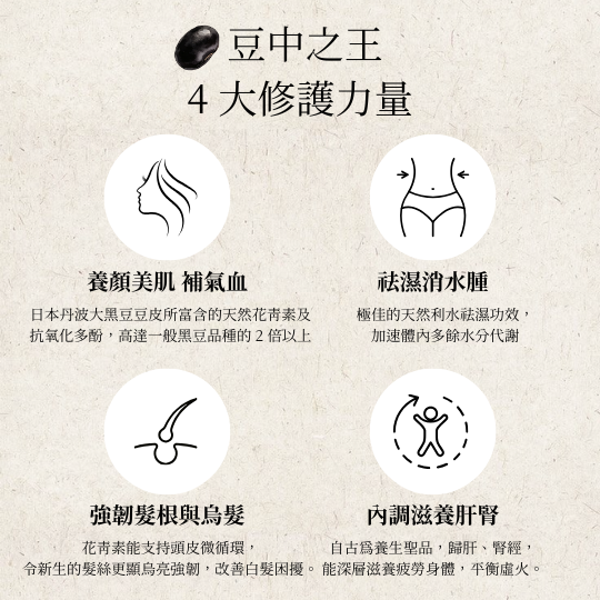 嚴選日本丹波黑豆茶 (300克/30茶包 大裝)