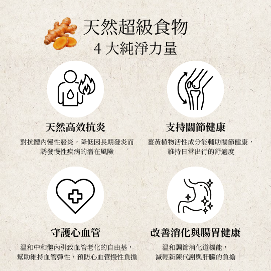 日本薑黃茶（150克/30茶包 大裝）