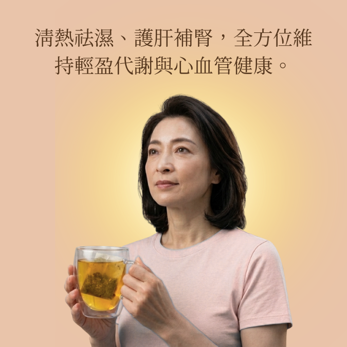 日本九州牛蒡茶 (150克/60茶包 大裝)