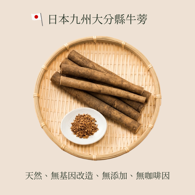 日本九州牛蒡茶 (150克/60茶包 大裝)