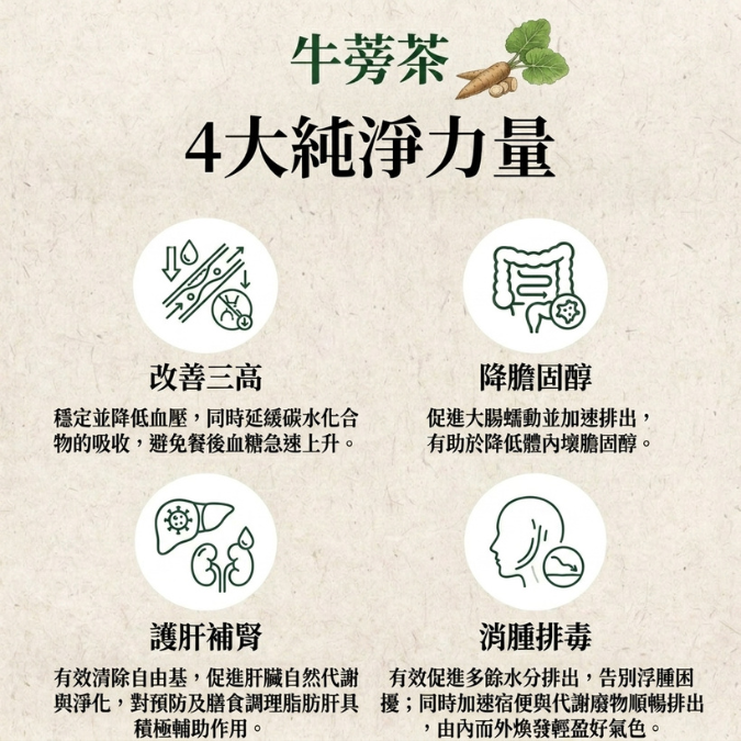 日本九州牛蒡茶 (150克/60茶包 大裝)