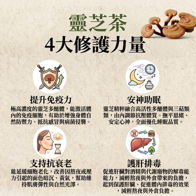 日本靈芝茶 (225克/45茶包 大裝)