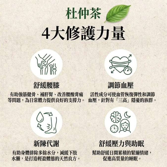 嚴選日本杜仲茶 (120克/30茶包 大裝)