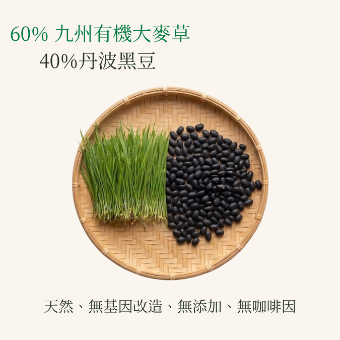 日本大麥若葉黑豆青汁 (135克/45條 大裝)