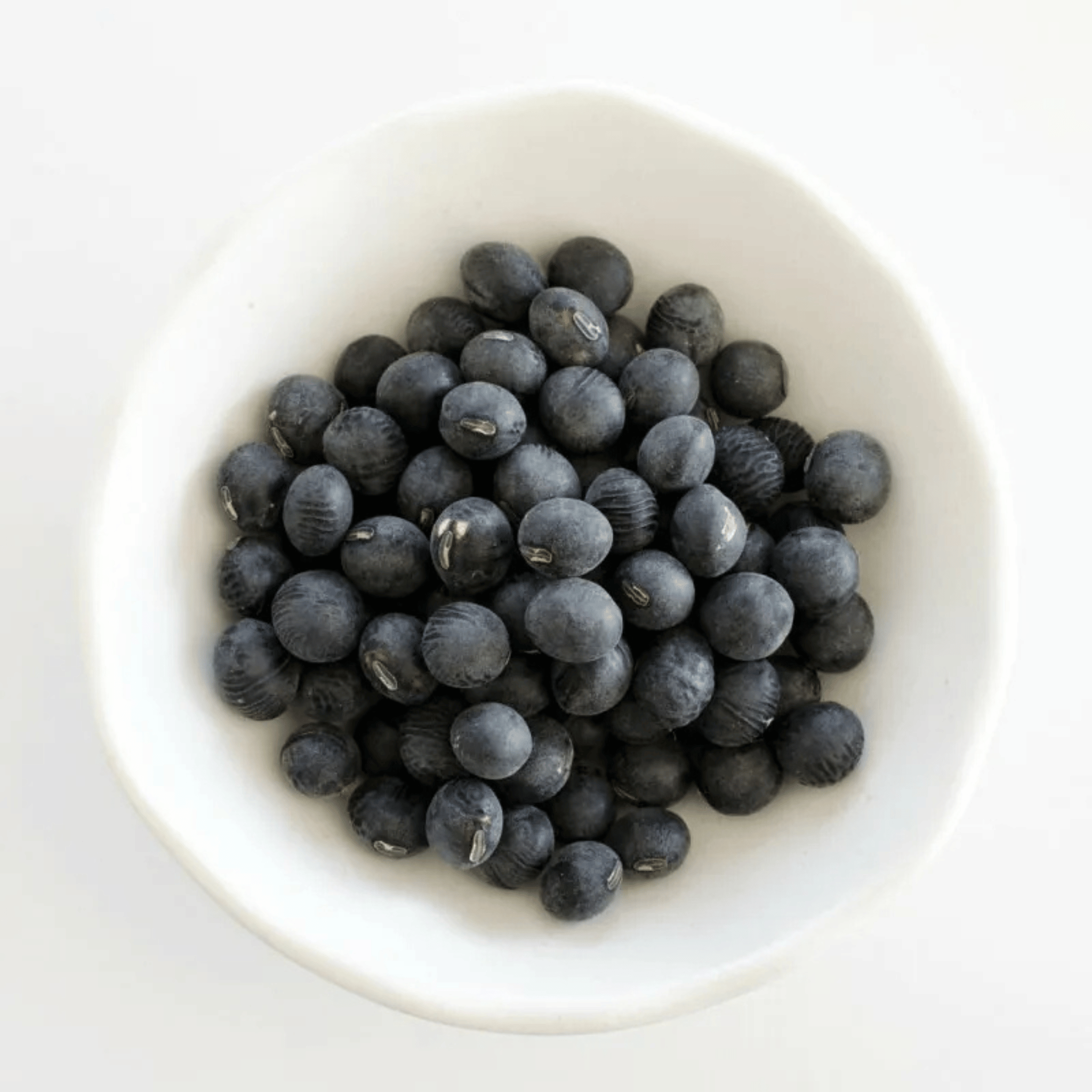 嚴選日本丹波黑豆茶 (100克/10茶包 細裝)