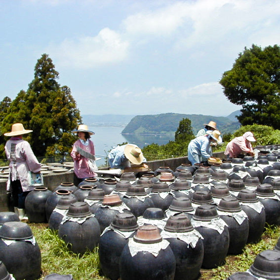 日本鹿兒島蘋果黑醋 (490毫升)