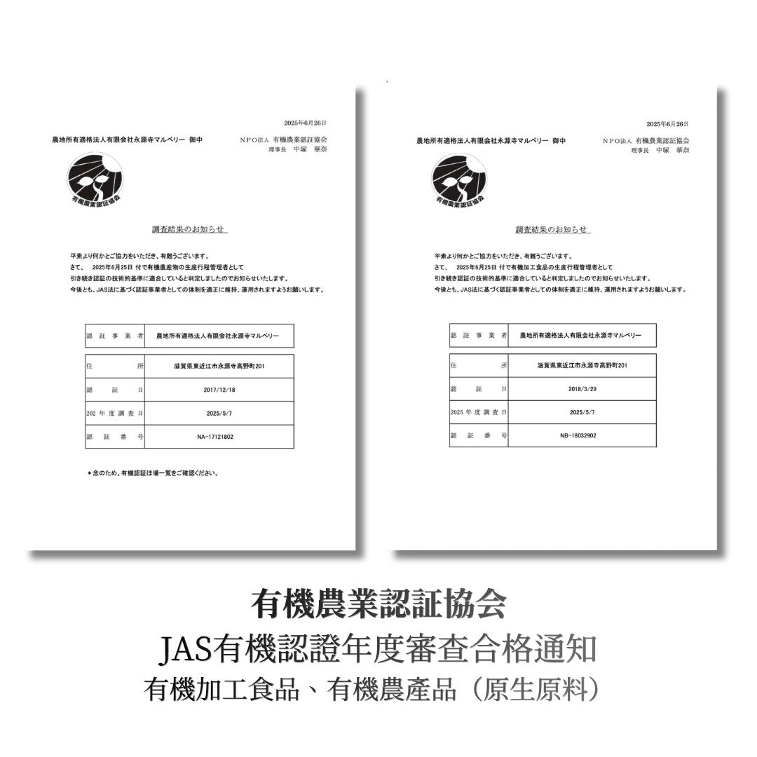日本有機桑葉茶 (180克/45茶包 大裝)