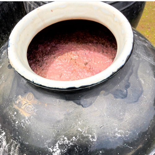 日本鹿兒島黑生薑黑醋 (185毫升)