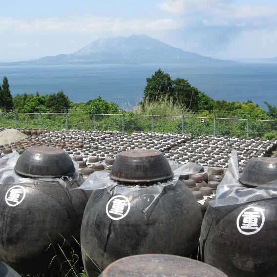 日本鹿兒島黑生薑黑醋 (185毫升)