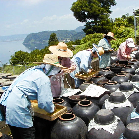 日本鹿兒島金の琥珀玄米黑醋 (900毫升)