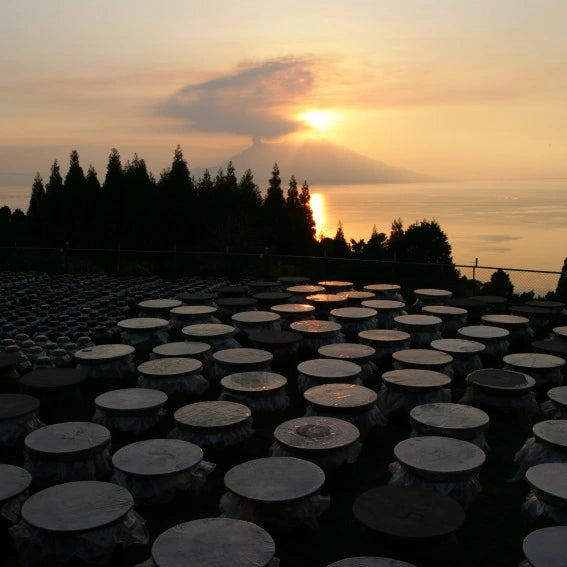 日本鹿兒島金の琥珀玄米黑醋 (900毫升)