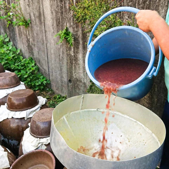 日本鹿兒島葡萄黑醋 (900毫升)