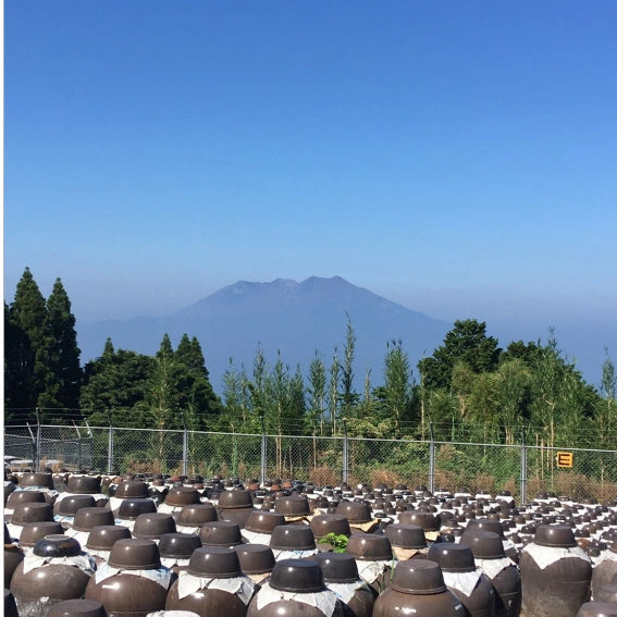 日本鹿兒島葡萄黑醋 (900毫升)