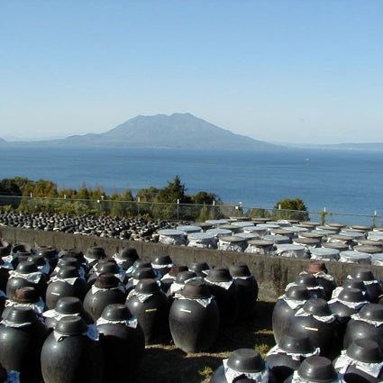 日本鹿兒島葡萄黑醋 (900毫升)