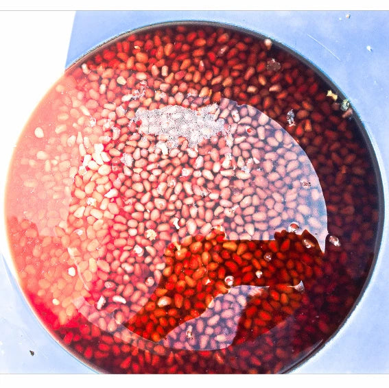 日本鹿兒島石榴黑醋 (185毫升)