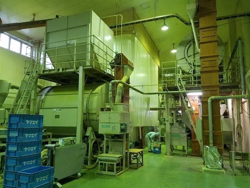 日本靜岡縣粉末抹茶 (50克)