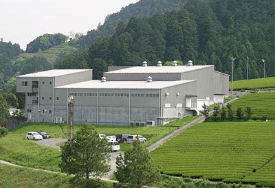 日本靜岡縣粉末抹茶 (50克)